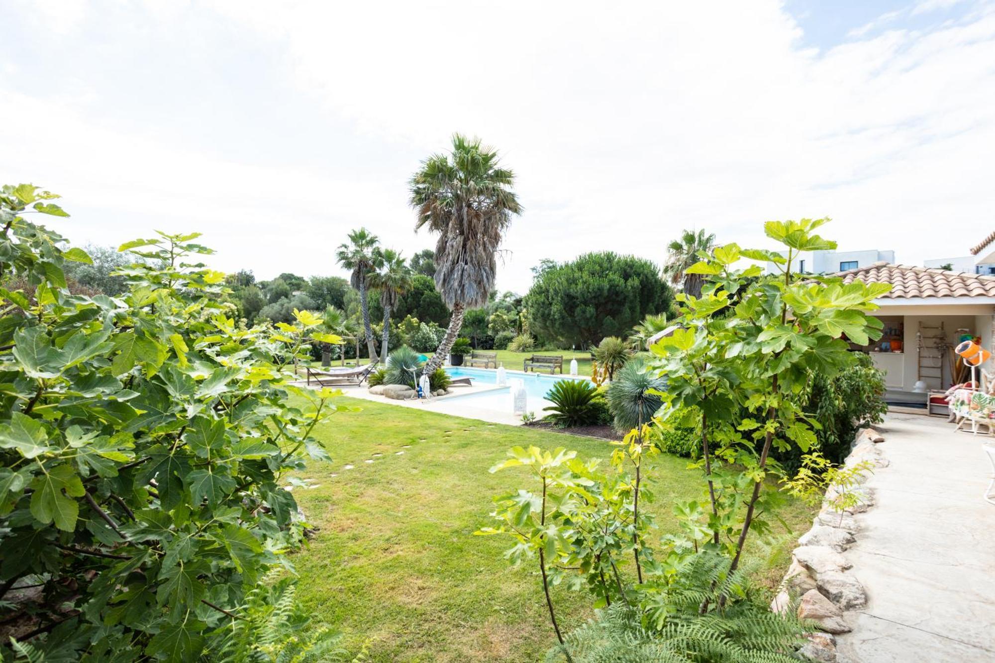 Bed and Breakfast Escapades Lointaines Perpiñán Exterior foto